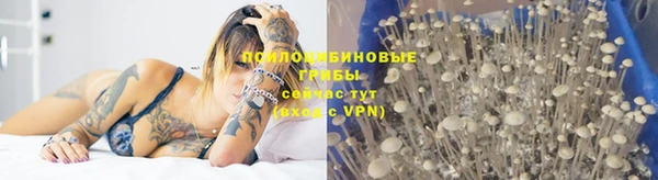 mdpv Нефтекумск
